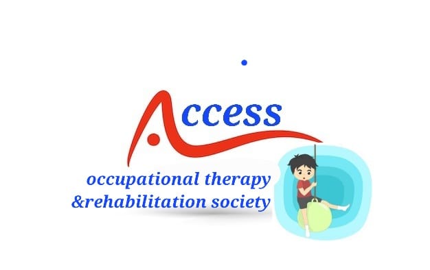 access logo
